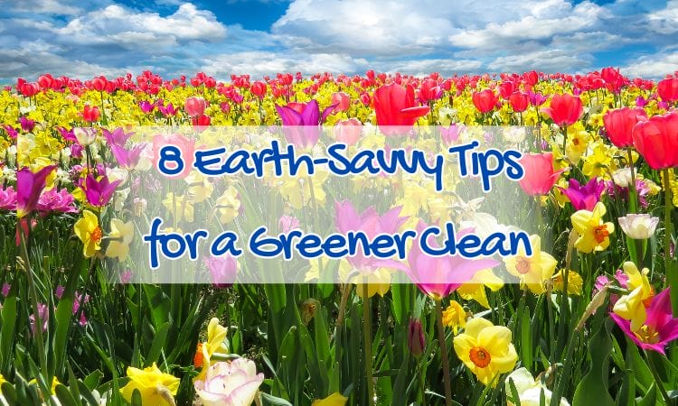 8 earth-savvy tips for a greener clean