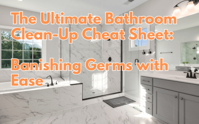 bathroom clean-up banishing germs with ease