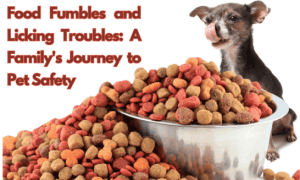 making your home safe for kids and pets 12 A bowl of dog food over flowing onto the floor