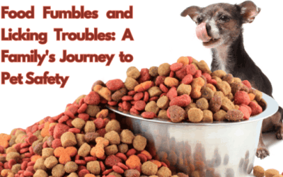 a family’s journey to pet safety