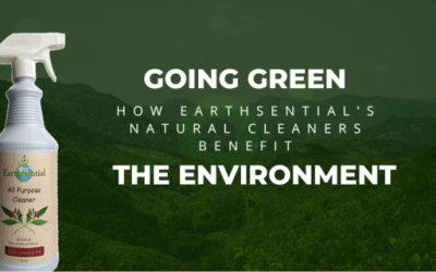 How Going Green Benefits the Environment