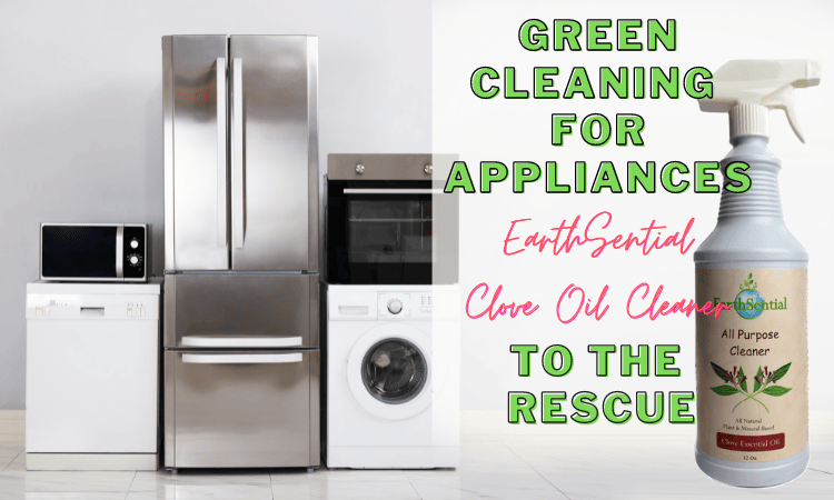 cleaning appliances with clove oil cleaner