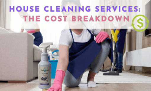 house cleaning services