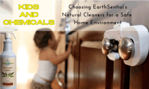 how kids can conquer chores 10 kids and chemicals