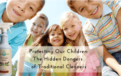 pet odor eliminator spray 9 the hidden dangers of traditional cleaners
