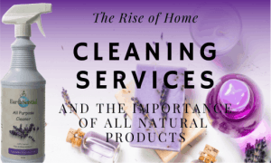 fresh ingredients for all natural cleaning products