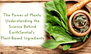 fresh plants and essential oils, plant based ingredients