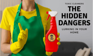 toxic cleaners Lurking in Your Home