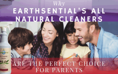 why all-natural cleaners are the perfect choice