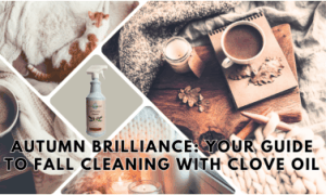 Autumn comfort with warm blankets, tea, a book and all natural clove oil all purpose cleaner by EarthSential.