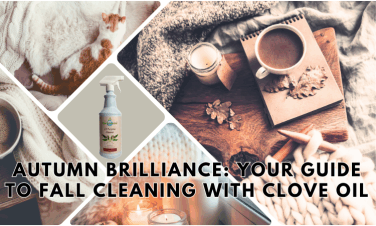 Autumn comfort with warm blankets, tea, a book and all natural clove oil all purpose cleaner by EarthSential. 5 of the best creative pumpkin craving ideas