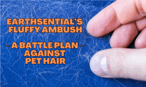 A couch covered in pet hair