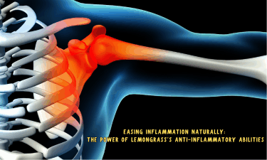 an inflamed muscle in the arm