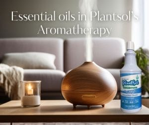 essential oils in plantsol’s aromatherapy