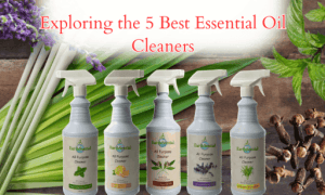 EarthSential's 5 Ready To Use Essential Oil Cleaners Ready
