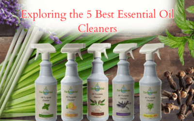 exploring the 5 best essential oil cleaners