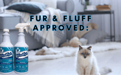 how to maintain a pet-friendly clean home