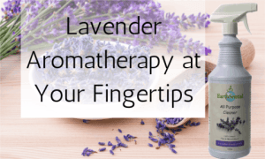lavender love: cleaning tips for every room 13 Fresh lavender aromatherapy with a bottle of EarthSential Lavender All Purpose Cleaner