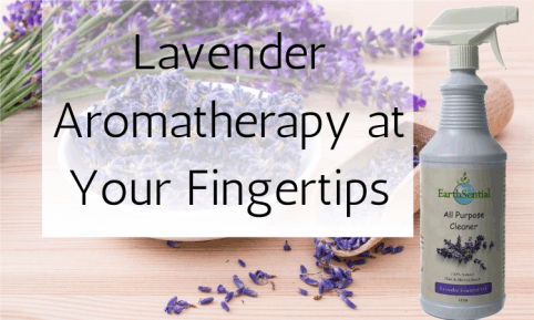 Fresh lavender aromatherapy with a bottle of EarthSential Lavender All Purpose Cleaner