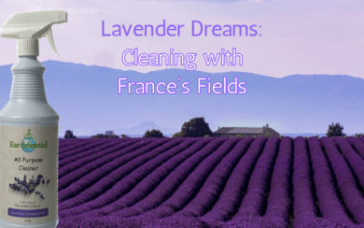 cleaning with france’s lavender fields