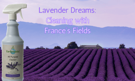 cleaning with france’s lavender fields