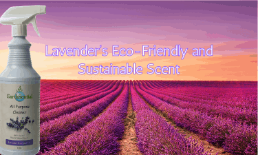 lavender’s eco-friendly and sustainable scent