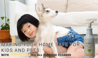 making your home safe for kids and pets