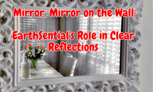 the unruly refrigerator cold case cleanup 17 A clean mirror with a dining room reflection