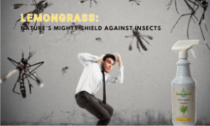 a man tucking from mosquitos 