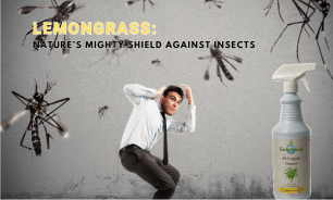 a man tucking from mosquitos