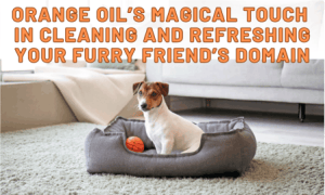 A Little dog on his freshly cleaned bed with a toy