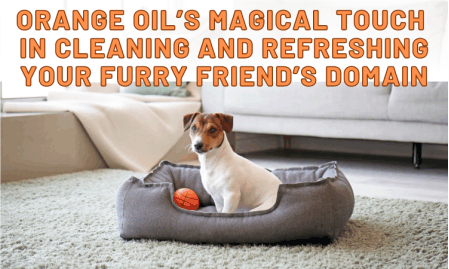 A Little dog on his freshly cleaned bed with a toy