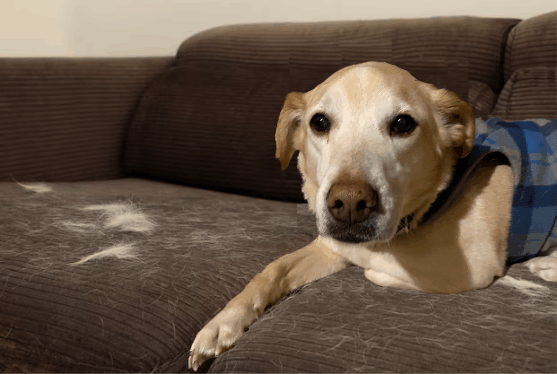 Must-try cleaning hacks for a spotless home