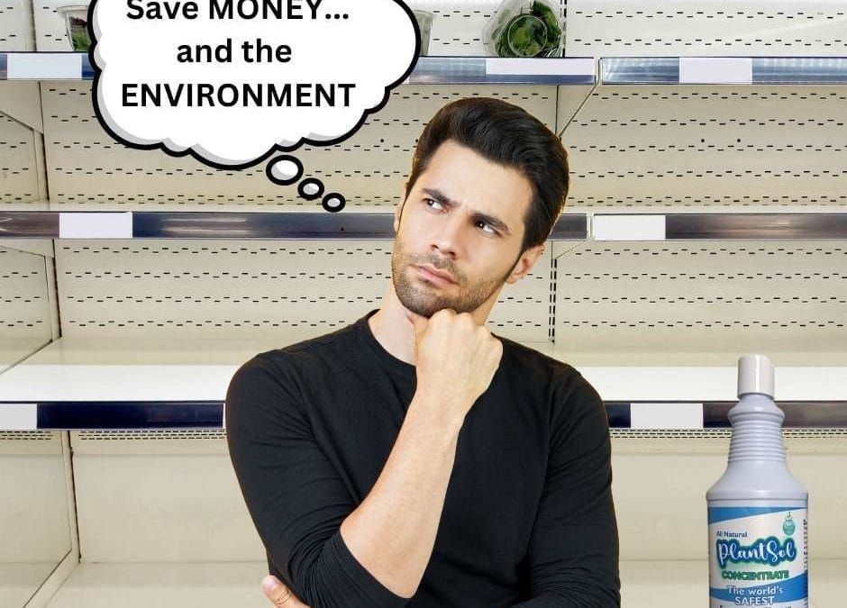 plantsol’s path to conscious consumerism