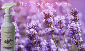 lavender's eco-friendly and sustainable scent 11 A field of lavender and a bottle of EarthSential All Purpose Lavender essential oil cleaner