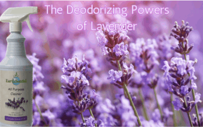 the deodorizing powers of lavender