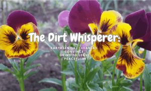 earthsential's guide to baseboards and vents 6 A bunch of flowers in the dirt