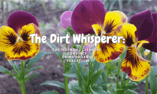 A bunch of flowers in the dirt