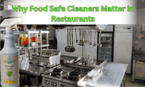 A restaurant kitchen, food prep kitchen cleaner spray