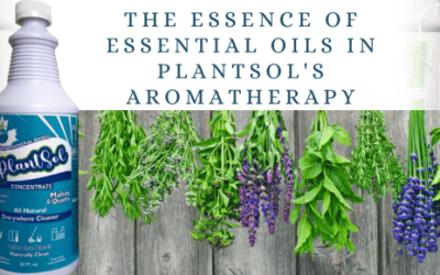 essential oils in plantsol’s aromatherapy