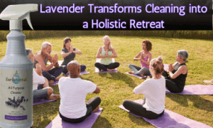 lavender's eco-friendly and sustainable scent 14 a holistic retreat