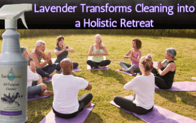 Lavender infused cleaning is a holistic retreat