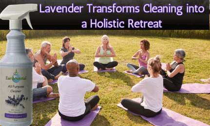 lavender infused cleaning is a holistic retreat
