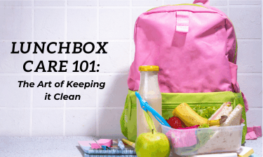 lunchbox care 101 the art of keeping it clean