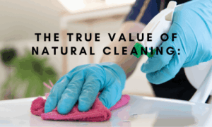 Cleaning with EarthSential Plantsol