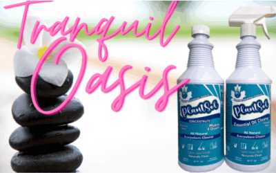 pet odor eliminator spray 9 how to create a tranquil oasis with plantsol