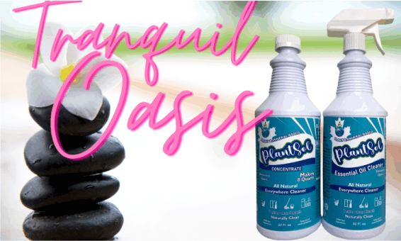 how to create a tranquil oasis with plantsol