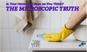 bacteria and germs in the home