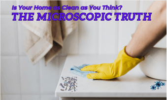 bacteria and germs in the home