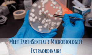 A petrie dish full of live bacteria colonies being observed by a microbiologist